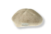 F 20180
<br/>
<br/>
<em></em>